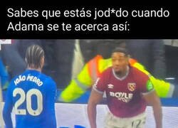 Enlace a No me hubiera gustado ser Joao Pedro