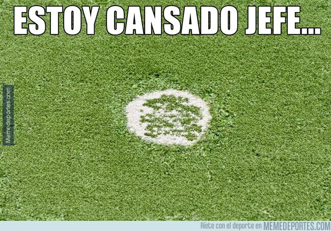 1235694 - Penalti-dependencia