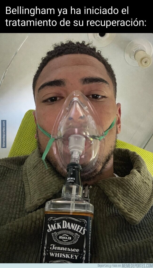 1235812 - El tratamiento de Jude