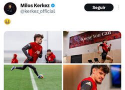 Enlace a Quiero pensar que está hecho a propósito