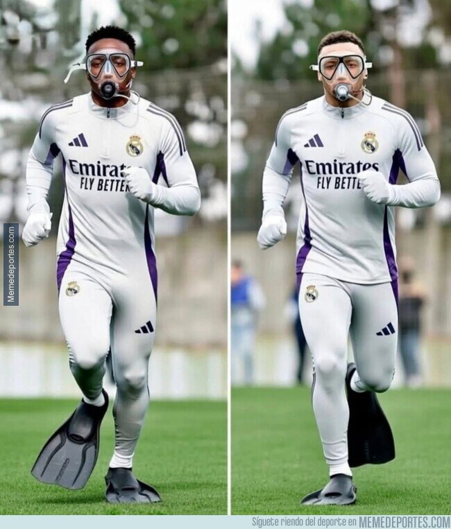 1235948 - Buzos del área