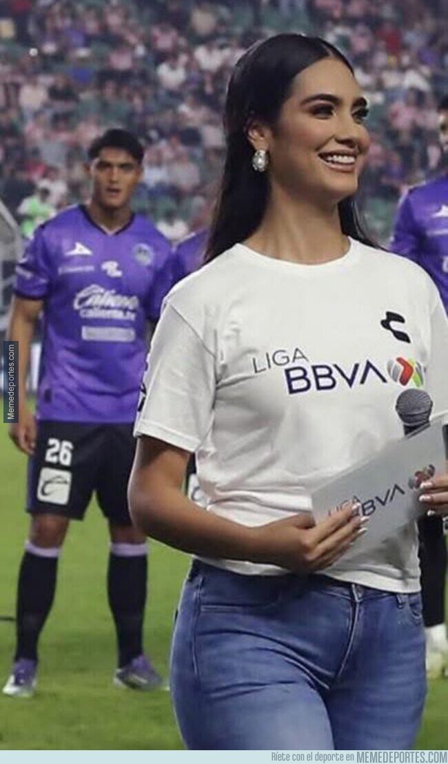 1235988 - Tu colega el menos disimulado