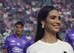 Enlace a Tu colega el menos disimulado