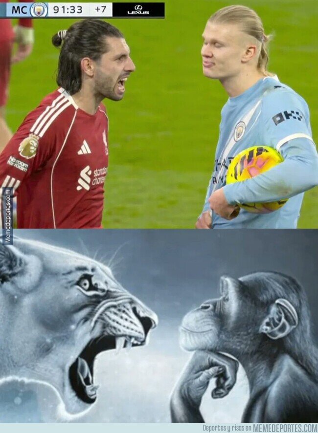 1236005 - Same Energy