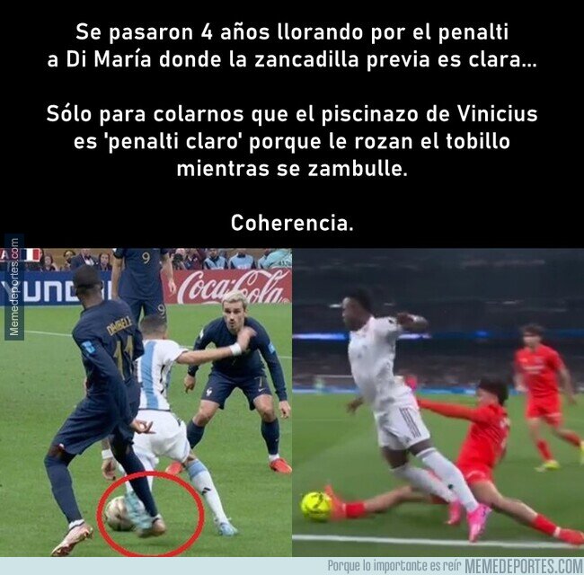 1236362 - Son los amos absolutos e indiscutidos del relato