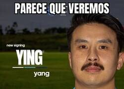 Enlace a El nuevo fichaje del Springfield que da estabilidad