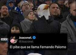 Enlace a Apareció un cabeza gaviota entre los fans del Brighton