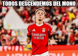 Enlace a El tío este sí que sigue en los árboles