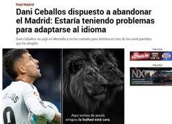 Enlace a Mucho ánimo para Dani