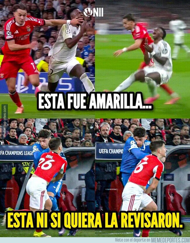 1236798 - Los más protegidos de Europa