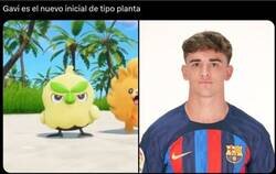 Enlace a Se inspiraron en Gavi