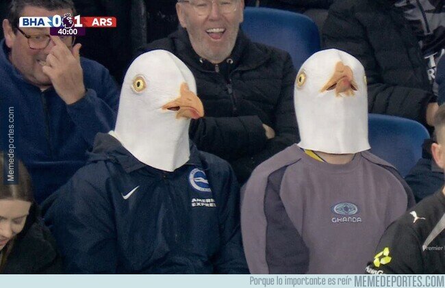 1237112 - Imagina jugar para el Brighton, buscar apoyo en la grada y ver esto...
