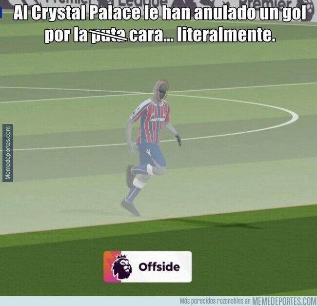 1237155 - Nunca había visto algo así