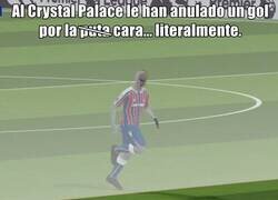 Enlace a Nunca había visto algo así