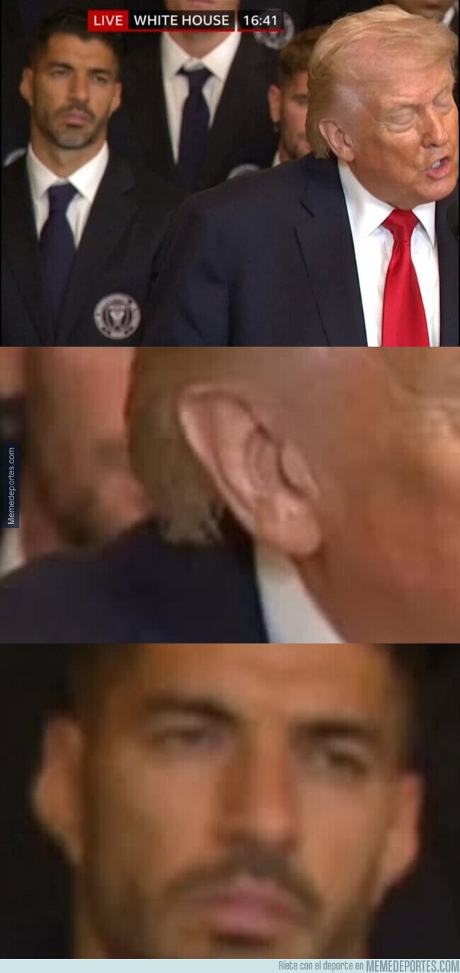 1237172 - Qué ojitos le esta poniendo a esa oreja...