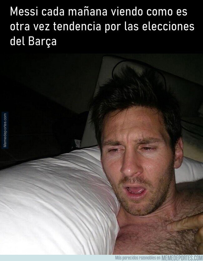 1237239 - Ya dejen a ese pobre hombre en paz