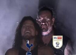 Enlace a Lo que le espera al gallito