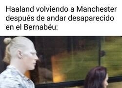 Enlace a De vuelta para casa