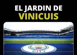 Enlace a Hay surcos que ha dejado en el cesped él brasileño y  no son por las botas