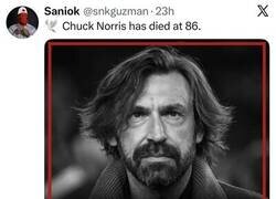 Enlace a DEP Chuck Norris