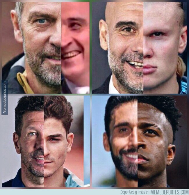 1237816 - Entrenadores y su arma más potente