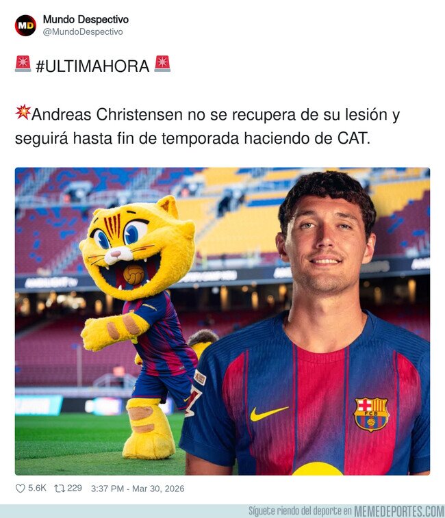 1238099 - Ayudará al equipo desde otro ámbito