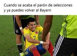 Enlace a De regreso a un equipo de verdad