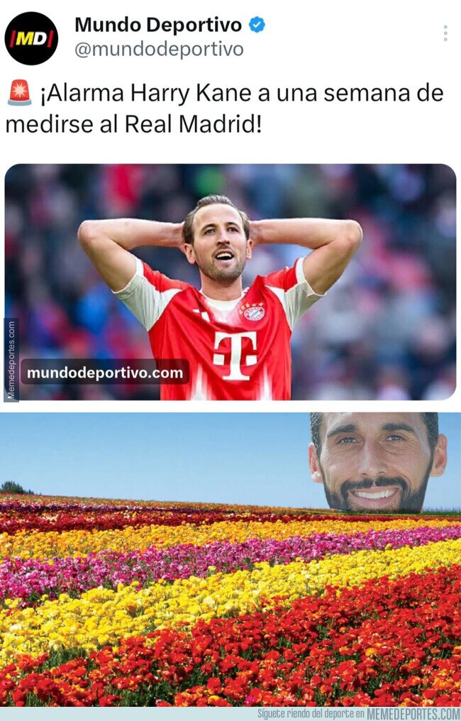 1238241 - La suerte del Madrid vuelve a florecer