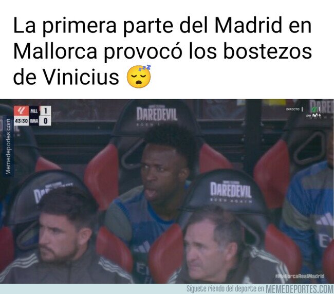 1238288 - Vini se aburría en Mallorca