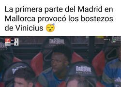 Enlace a Vini se aburría en Mallorca