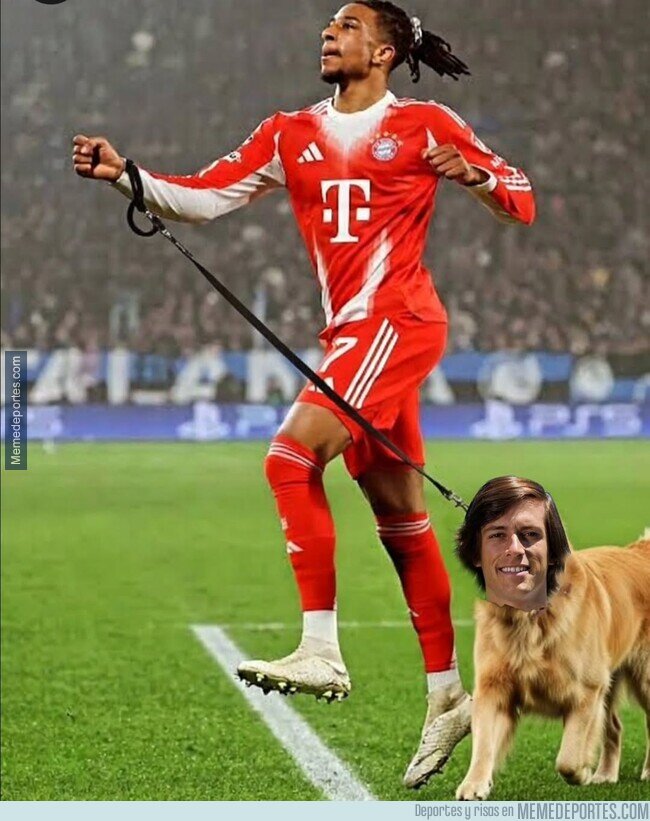 1238480 - Lo sacó a pasear