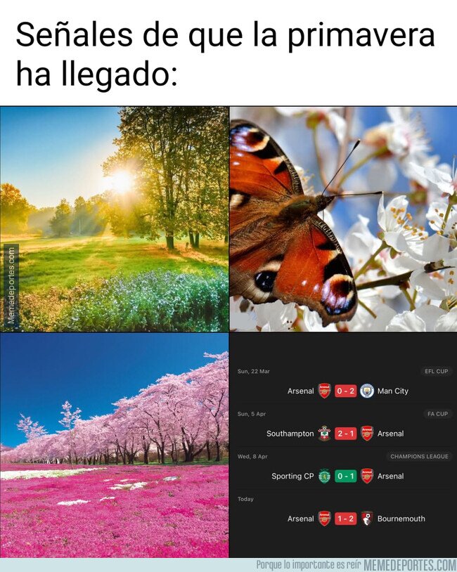 1238688 - Los campos florecen y los Gunners fallecen