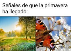 Enlace a Los campos florecen y los Gunners fallecen