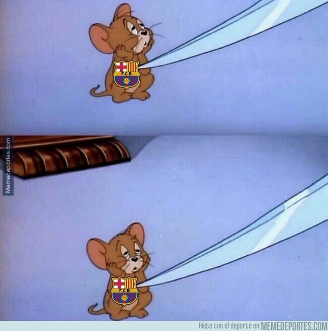 1238804 - Ya ni sienten ni padecen