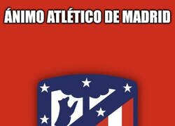 Enlace a Se perdió la Copa pero falta la Champions