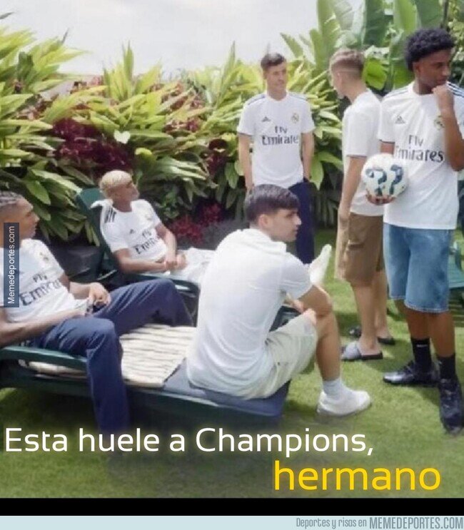 1239056 - Ahora sí huele, hermano