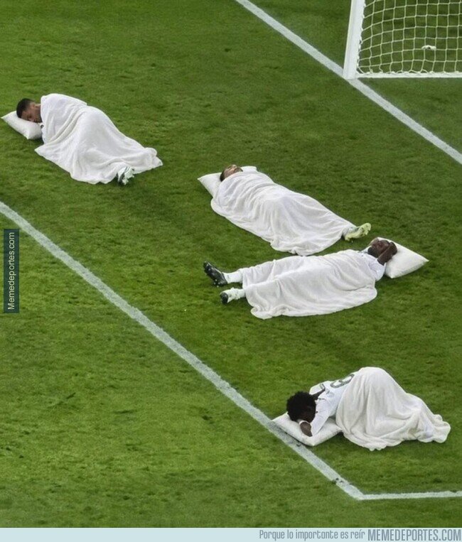 1239317 - A dormir hasta la temporada que viene