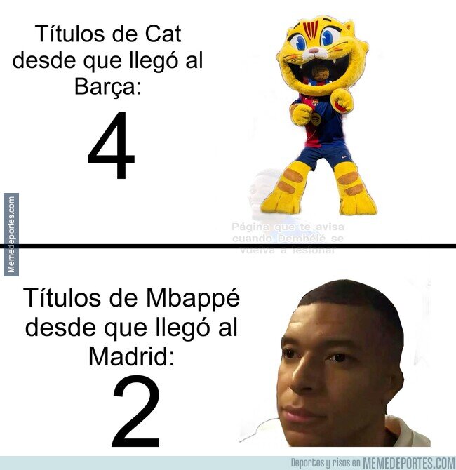 1239388 - El gato vs La Tortuga