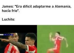 Enlace a No todos se adaptana a Alemania
