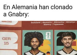 Enlace a Han regenerado una copia