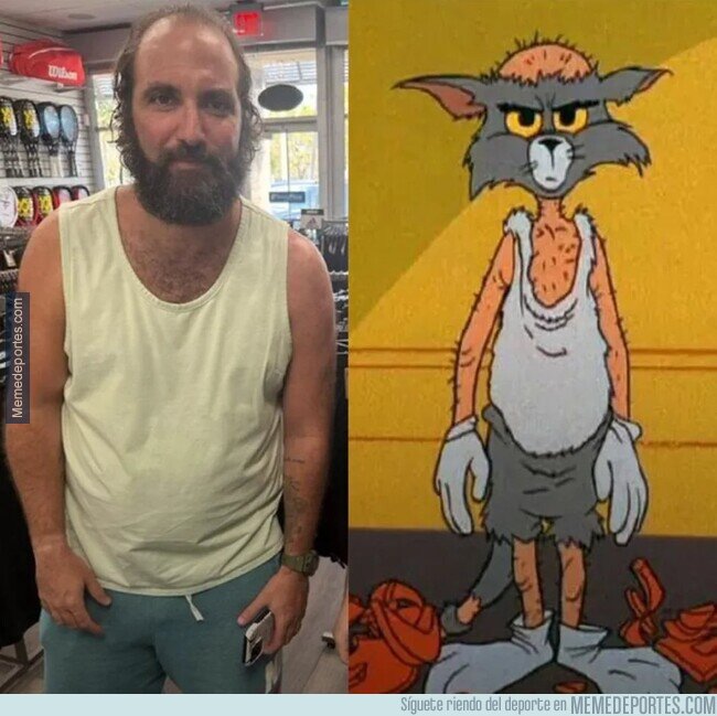 1239565 - ¿Qué te ha pasado, Pipita?