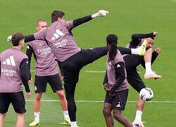 Enlace a Pero Courtois... ¿Dónde vas?