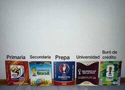 Enlace a Panini, gran compañero de vida