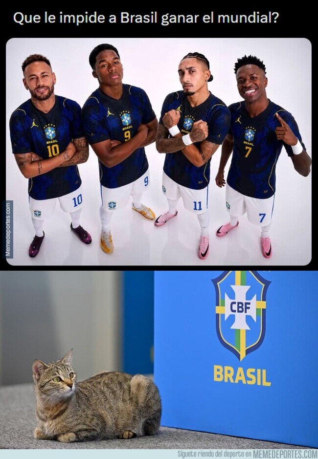 1240343 - Confio en la maldición del gato