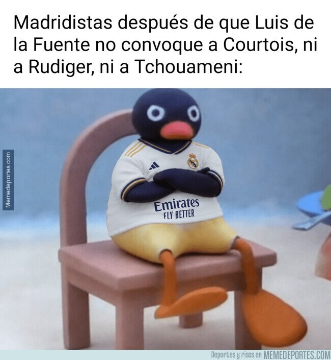 1240446 - ¿Qué esperaban?