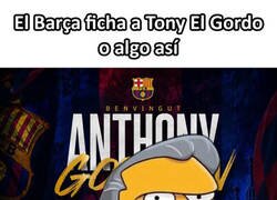 Enlace a O algo así