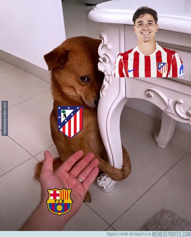 1240726 - Suéltalo, todos sabemos lo que quiere
