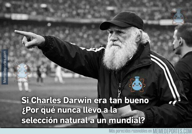 1241052 - ¿Está sobrevalorado Darwin?