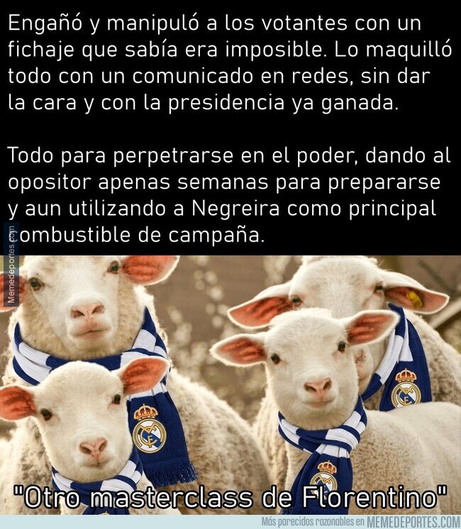 1241116 - Real Madrid merece el presidente que tienen