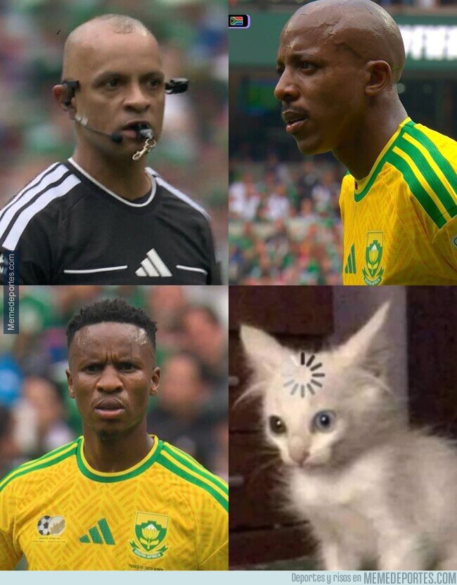 1241140 - La cara de los sudafricanos intentando entender el inglés de Sampaio